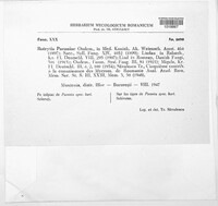 Image Associated With the Occurence